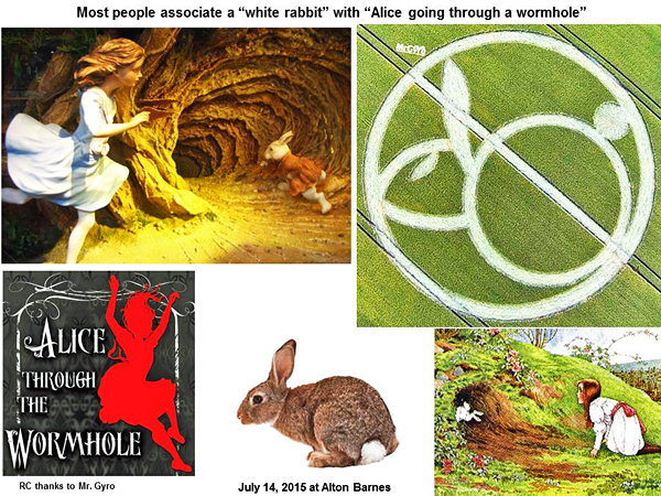 http://www.cropcircleconnector.com/2015/altonbarnes/alton-barnes-rabbit1.jpg