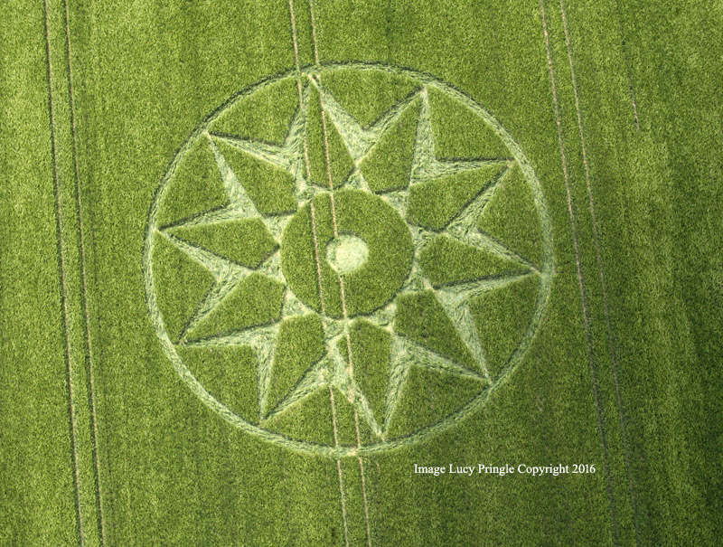 CROP CIRCLES 2016 ~ Willoughby Hedge, Nr Mere, Wiltshire & MORE Willoughby-+-Castle-Mere54