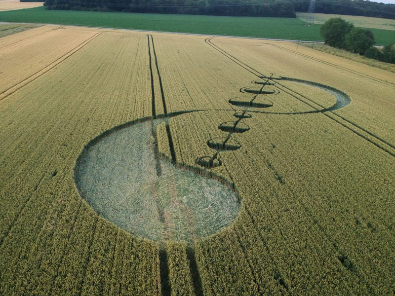 Crop Circle at Saulx-Marchais, Nr Beynes, Yvelines, France. Reported