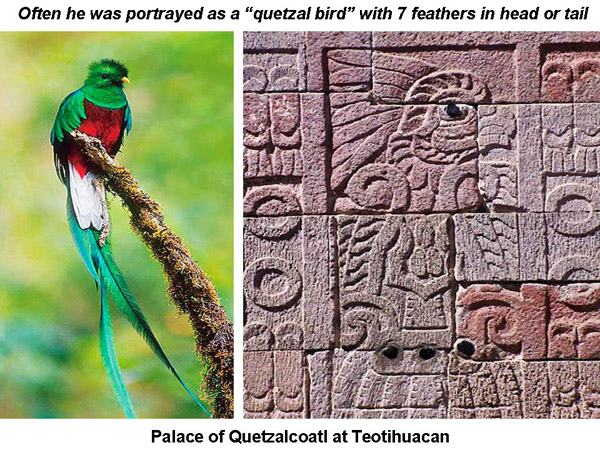 quetzal 7
