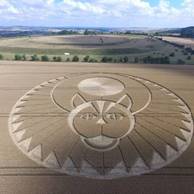 Crop circles 2016, new crop circles, photo