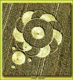 SpinnerTWK.jpg (69621 bytes)