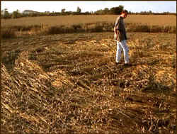 8FoldRadialcenter.jpg (26986 bytes)