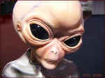AlienfaceTWK.jpg (50573 bytes)