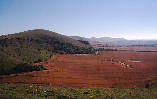 eastfield.jpg (26864 bytes)