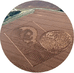 http://www.cropcircleconnector.com/images/alien2002jga_small.gif